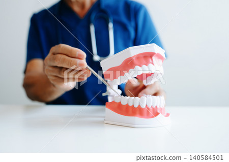 Professional dentist demonstrating a dental model for oral care, hygiene, and anatomy training. Professional dentist demonstrating a dental model for oral care, hygiene, and anatomy training. 140584501