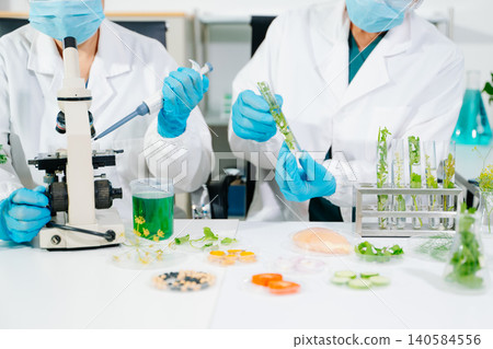 Scientists analyzing plant samples in biotechnology laboratory using microscope and test tubes. Concept of medical research, food science Scientists analyzing plant samples in biotechnology laboratory using microscope and test tubes. Concept of medical research, food science 140584556