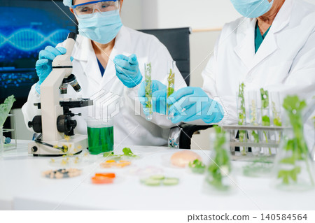 Scientists analyzing plant samples in biotechnology laboratory using microscope and test tubes. Concept of medical research, food science Scientists analyzing plant samples in biotechnology laboratory using microscope and test tubes. Concept of medical research, food science 140584564