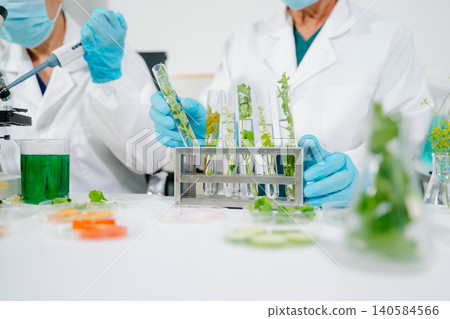 Scientists analyzing plant samples in biotechnology laboratory using microscope and test tubes. Concept of medical research, food science Scientists analyzing plant samples in biotechnology laboratory using microscope and test tubes. Concept of medical research, food science 140584566