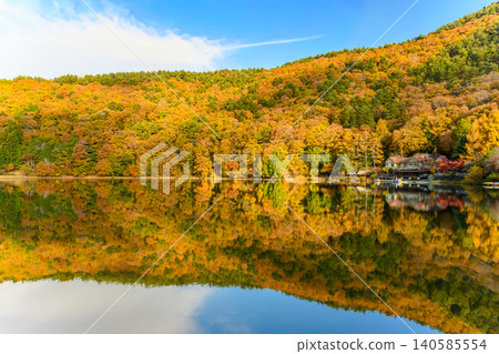Autumn leaves of Shita Lake Autumn leaves of Shita Lake 140585554