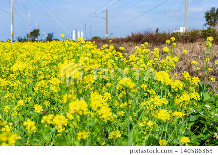 Rural Taiwan scenery in late winter and early spring, and the modern infrastructure of the Tongxiao Power Plant in the distance. Rural Taiwan scenery in late winter and early spring, and the modern infrastructure of the Tongxiao Power Plant in the distance. 140586363