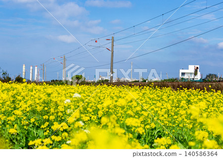 Rural Taiwan scenery in late winter and early spring, and the modern infrastructure of the Tongxiao Power Plant in the distance. Rural Taiwan scenery in late winter and early spring, and the modern infrastructure of the Tongxiao Power Plant in the distance. 140586364