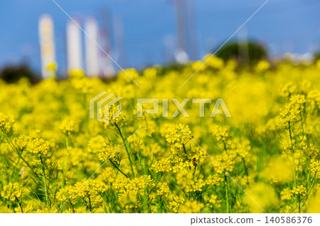 Rural Taiwan scenery in late winter and early spring, and the modern infrastructure of the Tongxiao Power Plant in the distance. Rural Taiwan scenery in late winter and early spring, and the modern infrastructure of the Tongxiao Power Plant in the distance. 140586376
