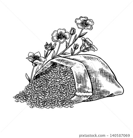 Flaxseed in a burlap bag and flax flowers. Black and white, graphic, vector, hand-drawn illustration. Element of label and packaging design, as well as banners, posters, and more Flaxseed in a burlap bag and flax flowers. Black and white, graphic, vector, hand-drawn illustration. Element of label and packaging design, as well as banners, posters, and more 140587069