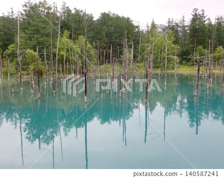 Platinum Blue Pond 140587241