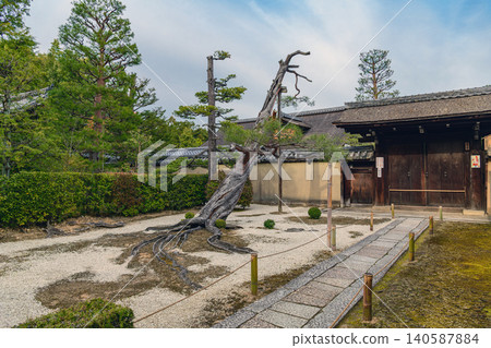 京都大德寺神珠庵大門前的景色。 京都大德寺神珠庵大門前的景色。 140587884