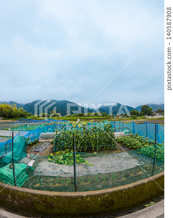 A peaceful rural landscape and beautiful stream scenery in early summer, Niihama City, Ehime Prefecture A peaceful rural landscape and beautiful stream scenery in early summer, Niihama City, Ehime Prefecture 140587908