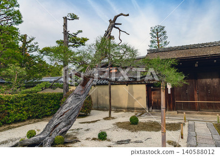 京都大德寺神珠庵大門前的景色。 京都大德寺神珠庵大門前的景色。 140588012