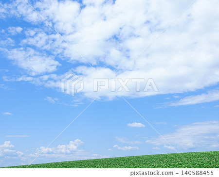 The refreshing summer blue sky and potato flowers blooming on the hills of Biei, Hokkaido. The refreshing summer blue sky and potato flowers blooming on the hills of Biei, Hokkaido. 140588455