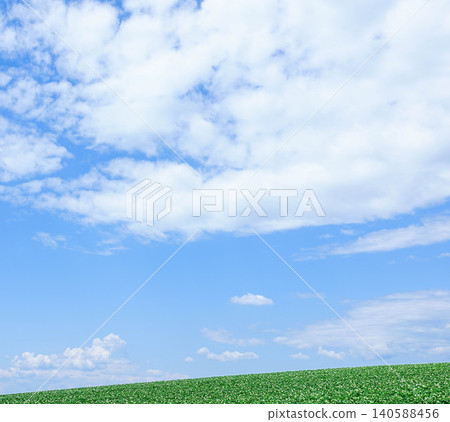 The refreshing summer blue sky and potato flowers blooming on the hills of Biei, Hokkaido. The refreshing summer blue sky and potato flowers blooming on the hills of Biei, Hokkaido. 140588456