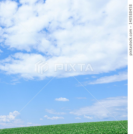 The refreshing summer blue sky and potato flowers blooming on the hills of Biei, Hokkaido. The refreshing summer blue sky and potato flowers blooming on the hills of Biei, Hokkaido. 140588458