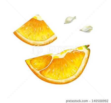 Watercolor orange slices clipart. Hand-drawn citrus fruit pieces and seeds isolated on white background. For fresh juice packaging, summer drink menus, recipe books, or organic food branding. Watercolor orange slices clipart. Hand-drawn citrus fruit pieces and seeds isolated on white background. For fresh juice packaging, summer drink menus, recipe books, or organic food branding. 140588992
