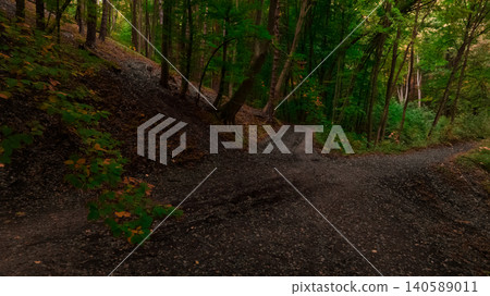 A dark winding forest trail splits into two directions under the dim light of twilight, inviting exploration into the deep woods 140589011