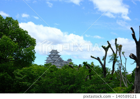 藍天和姬路城堡 藍天和姬路城堡 140589121