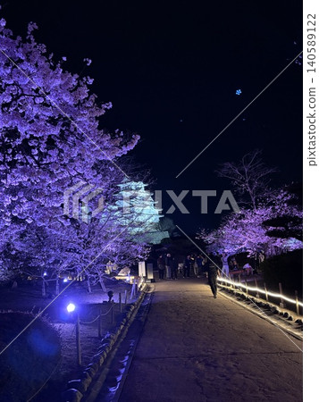 夜幕下的姬路城與櫻花 夜幕下的姬路城與櫻花 140589122