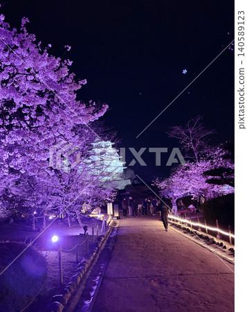 Himeji Castle at Night with Cherry Blossoms Himeji Castle at Night with Cherry Blossoms 140589123