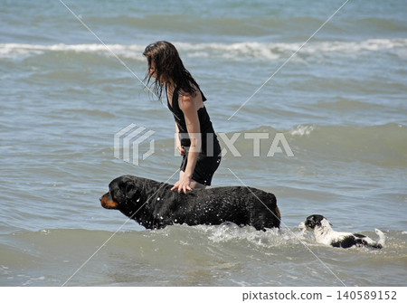 rottweiler and woman 140589152