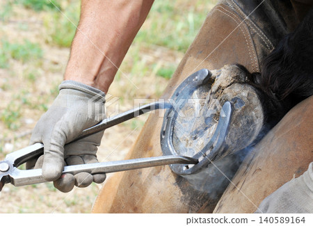 farrier 140589164