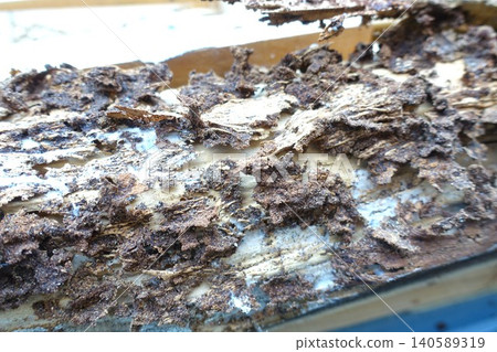 Pillars of a house damaged by termites Pillars of a house damaged by termites 140589319