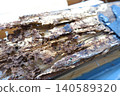 Pillars of a house damaged by termites 140589320