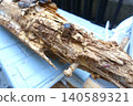 Pillars of a house damaged by termites 140589321