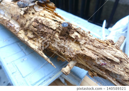 Pillars of a house damaged by termites 140589321