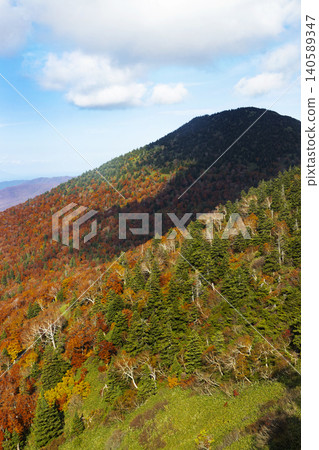 從八甲田纜車看到的八甲田山的紅葉 從八甲田纜車看到的八甲田山的紅葉 140589347