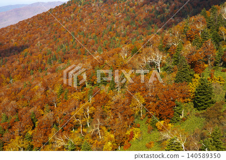 從八甲田纜車看到的八甲田山的紅葉 從八甲田纜車看到的八甲田山的紅葉 140589350