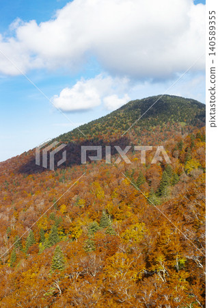 從八甲田纜車看到的八甲田山的紅葉 從八甲田纜車看到的八甲田山的紅葉 140589355