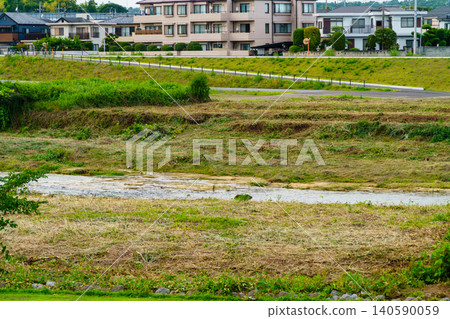 The riverbank was cleared of undergrowth to improve visibility and prevent bears from appearing. 140590059