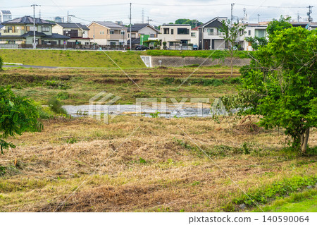 The riverbank was cleared of undergrowth to improve visibility and prevent bears from appearing. The riverbank was cleared of undergrowth to improve visibility and prevent bears from appearing. 140590064