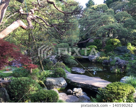 日式庭園,石橋橫跨池塘,松樹倒映在水中。 日式庭園,石橋橫跨池塘,松樹倒映在水中。 140590262