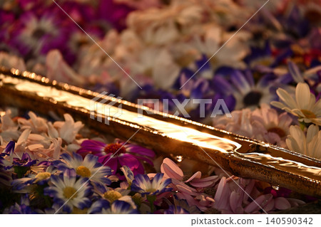 伊美水神社的花水池 伊美水神社的花水池 140590342