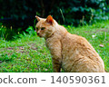 A relaxed tabby cat sitting in a quiet park. 140590361