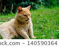 A relaxed tabby cat sitting in a quiet park. 140590364