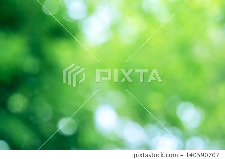 Sunlight filtering through trees, forest, summer, green tones, out of focus [Fujisawa City, Kanagawa Prefecture] 140590707