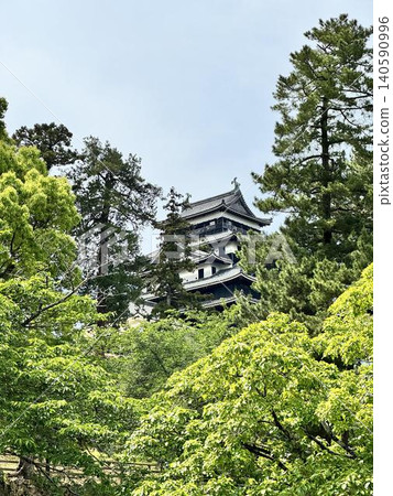 The national treasure, Matsue Castle keep, which you can look up to. The national treasure, Matsue Castle keep, which you can look up to. 140590996