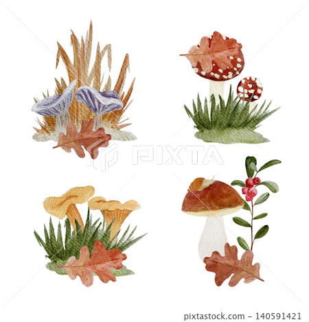 Autumn mushroom watercolor set with fly agaric, chanterelles, bolete, russula, oak leaves and berries. Hand painted forest clipart isolated on white for seasonal decor and stationery Autumn mushroom watercolor set with fly agaric, chanterelles, bolete, russula, oak leaves and berries. Hand painted forest clipart isolated on white for seasonal decor and stationery 140591421