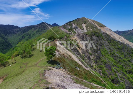 中倉山上孤零零的一棵山毛櫸樹,沿著通往佐和里山的山脊。 中倉山上孤零零的一棵山毛櫸樹,沿著通往佐和里山的山脊。 140591456