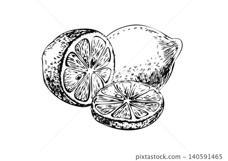 Lemon group with whole fruit half and slice hand drawn sketch. Black ink line art citrus still life isolated on white for culinary blog banner, farm market print, kitchen textile, and card Lemon group with whole fruit half and slice hand drawn sketch. Black ink line art citrus still life isolated on white for culinary blog banner, farm market print, kitchen textile, and card 140591465