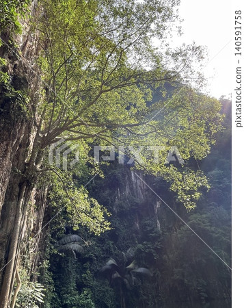 Backlit Tree and Limestone Cliff at Mirror Lake, Ipoh Backlit Tree and Limestone Cliff at Mirror Lake, Ipoh 140591758