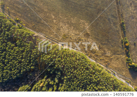 view from above of forest view from above of forest 140591776