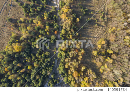 view from above of forest view from above of forest 140591784