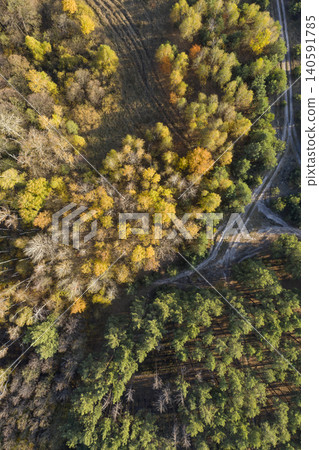 view from above of forest view from above of forest 140591785
