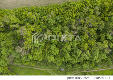 view from above of forest 140591804