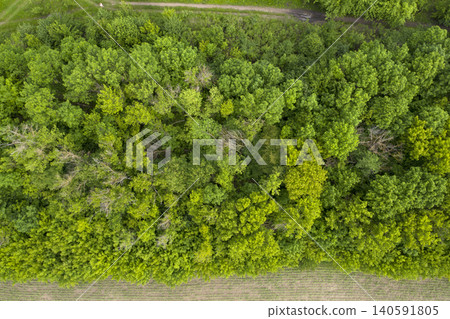 view from above of forest view from above of forest 140591805