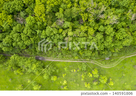 view from above of forest view from above of forest 140591806