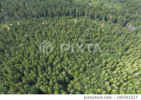 view from above of forest view from above of forest 140591827