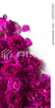 Red roses on a white background Red roses on a white background 140592263